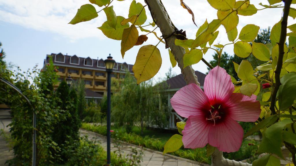 River Side Hotel Mingachevir Exterior foto